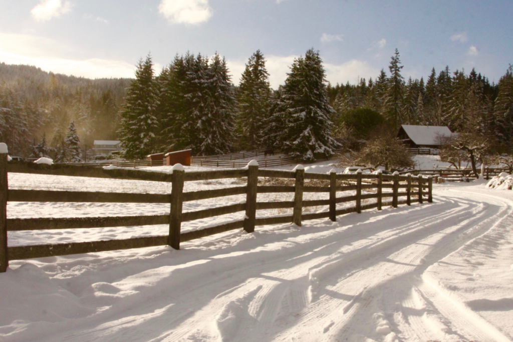 Snowy driveway