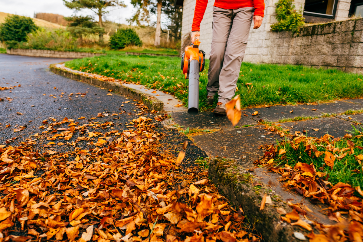 driveway edge markers autumn