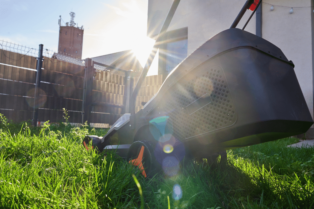 What Happens If You Don’t Cut Grass in Canada