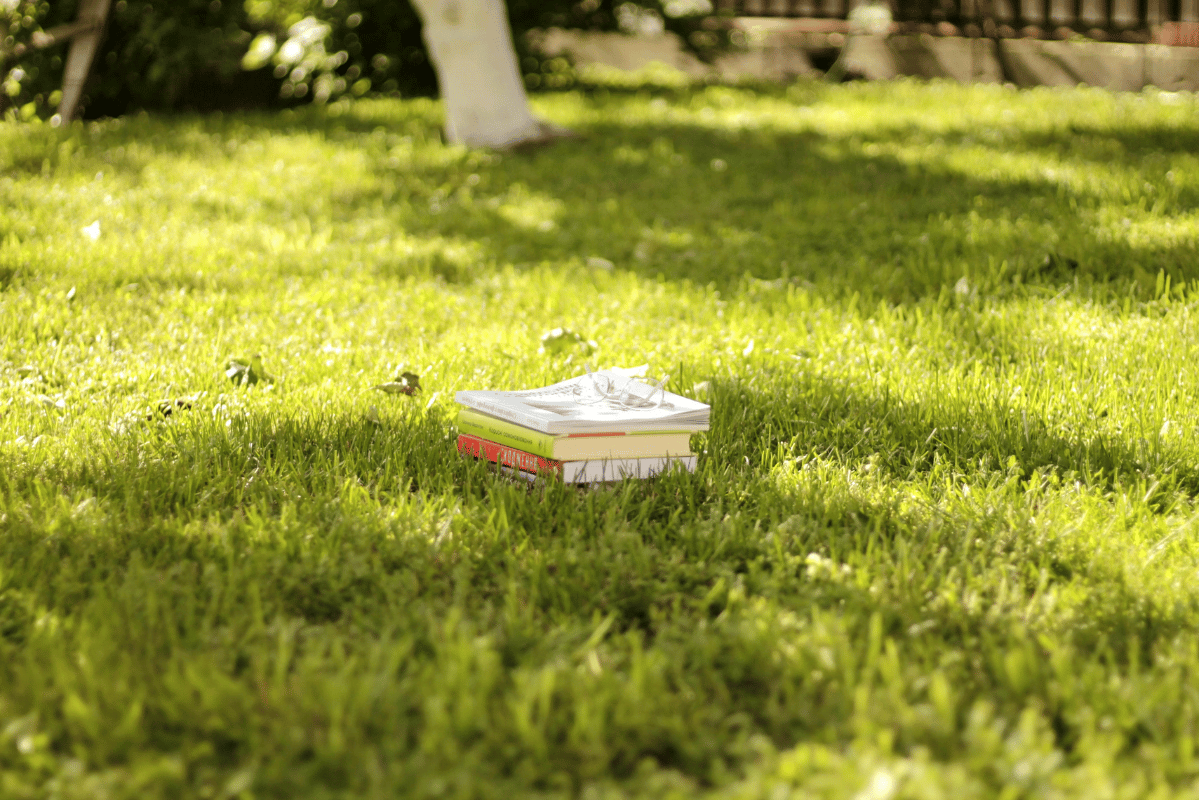 tall grass backyard messy lawn