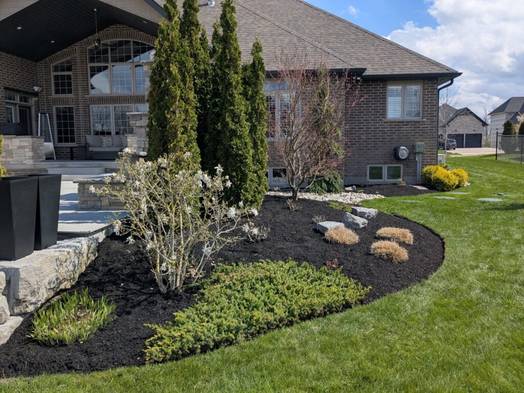Front yar landscaping in Kitchener Waterloo