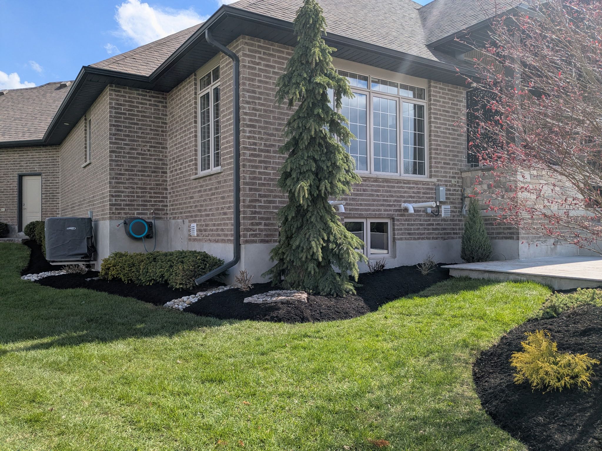 Tree shrub cutting and landscaping