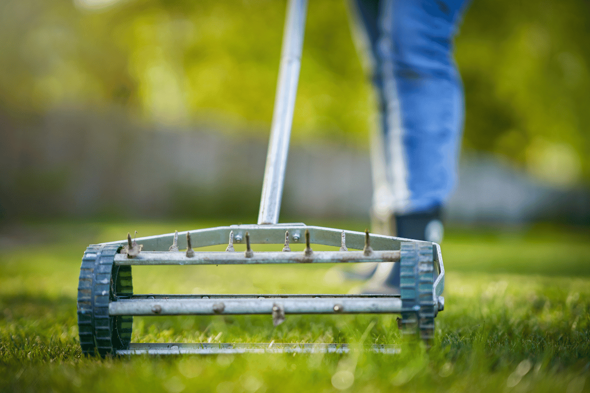 lawn aeration close up