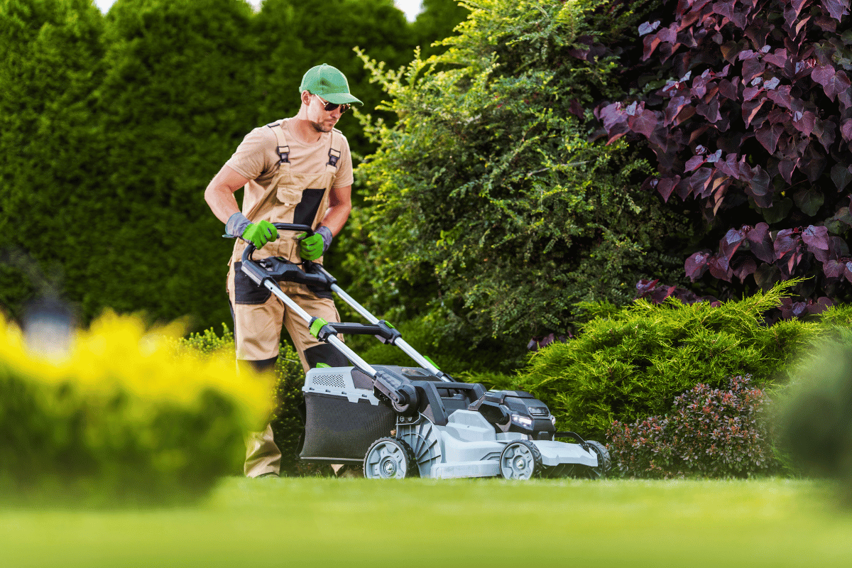 mowing lawn backyard