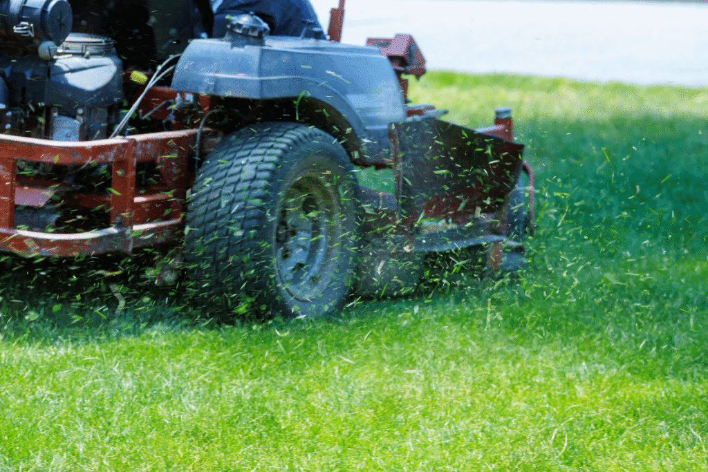 mowing wet grass after rain backyard