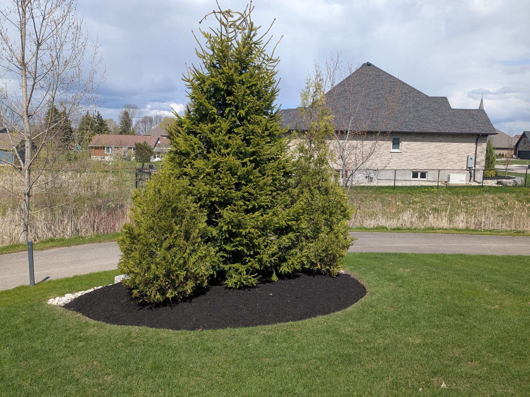 shrub trimming kitchener ontario canada