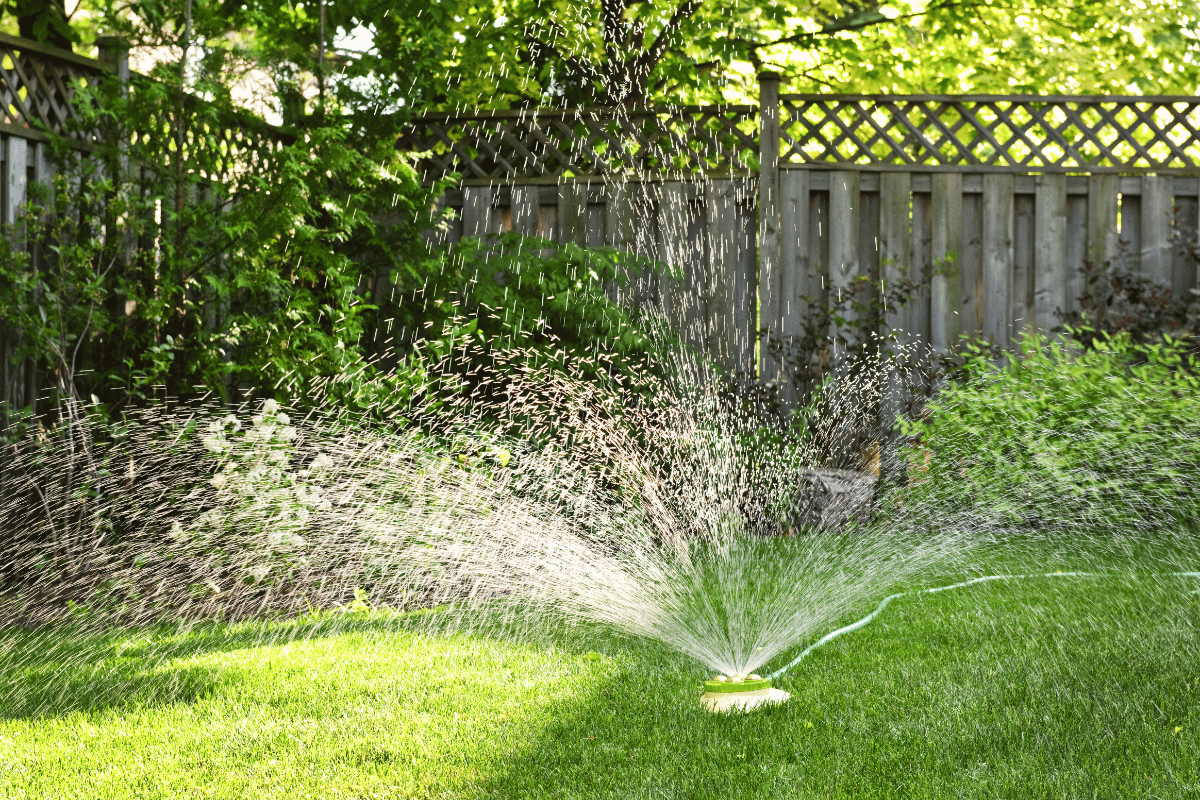 watering lawn with sprinkler