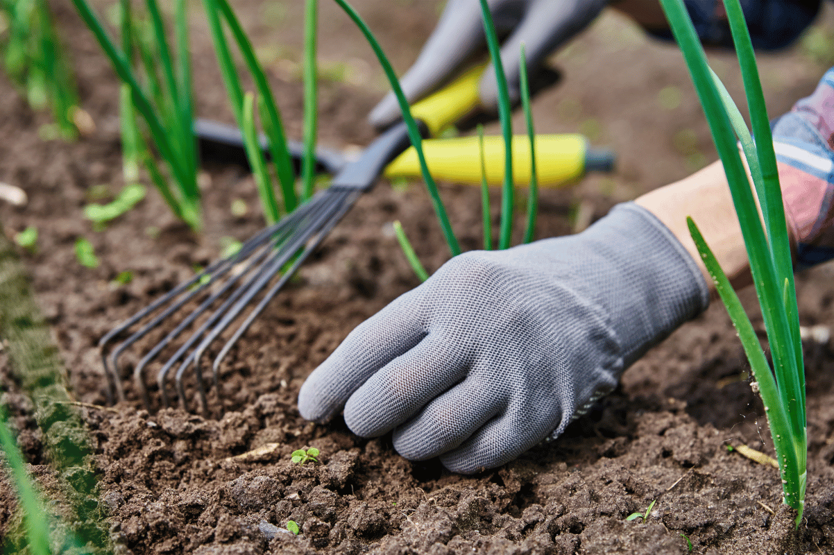 Gardening gloves pulling weeds