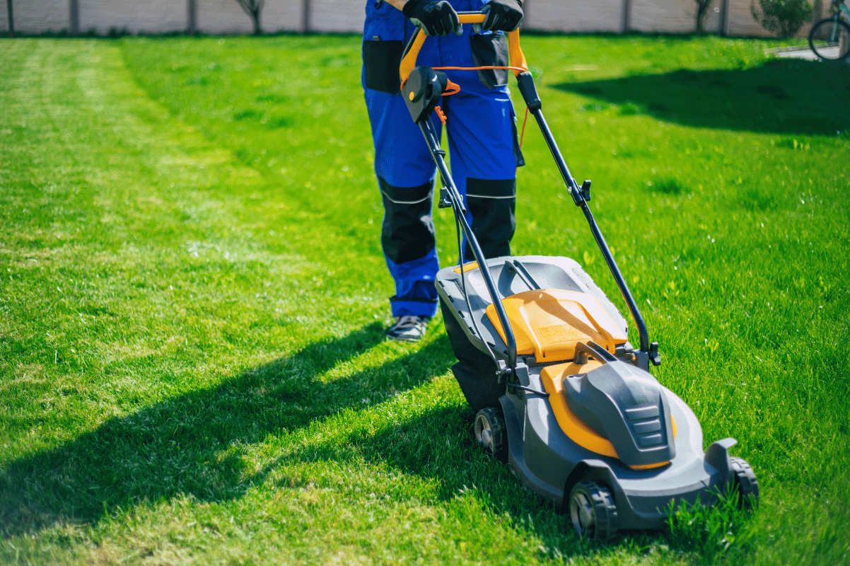Lawn mowing high grass healthy yard