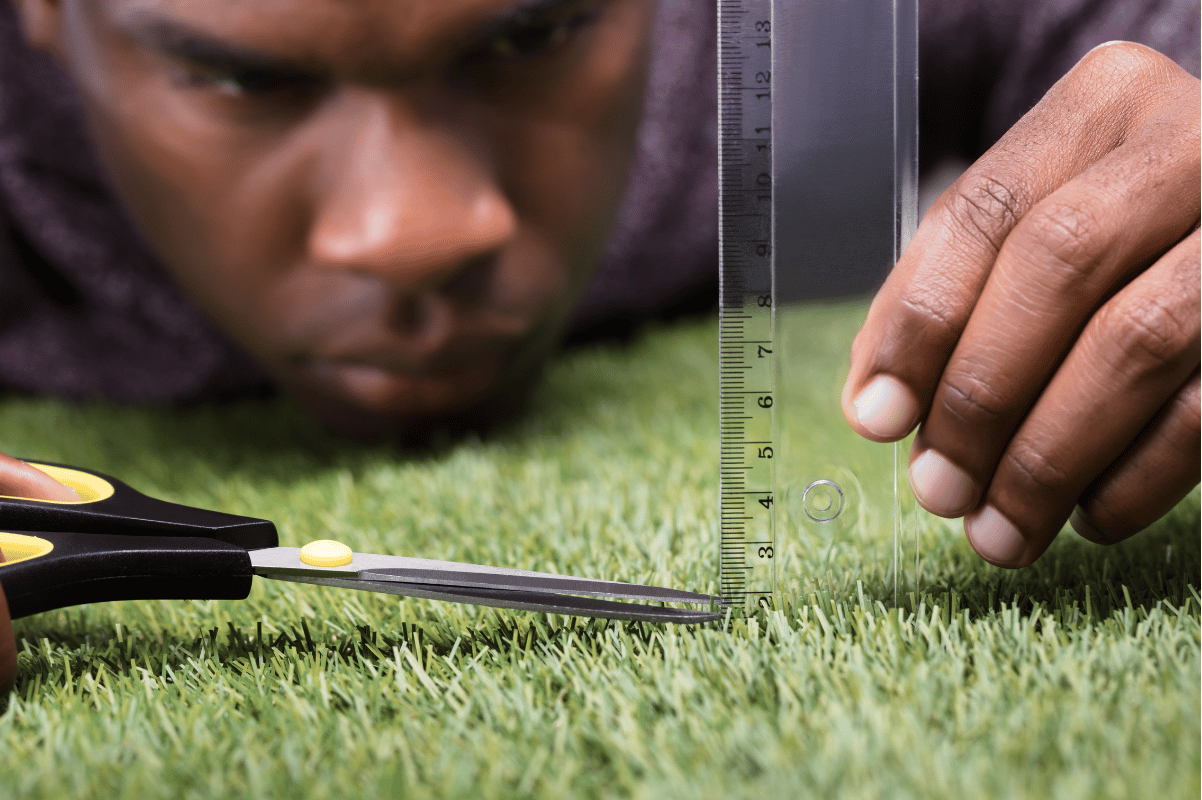 measuring lawn grass height with ruler