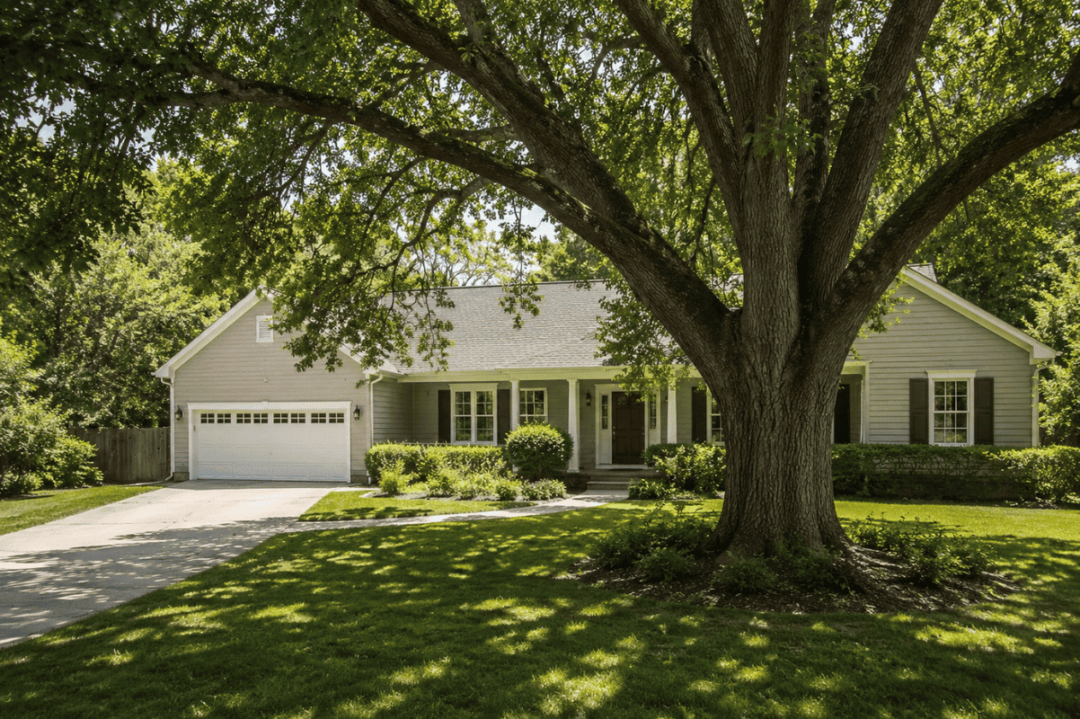 Residential property mature tree front yard