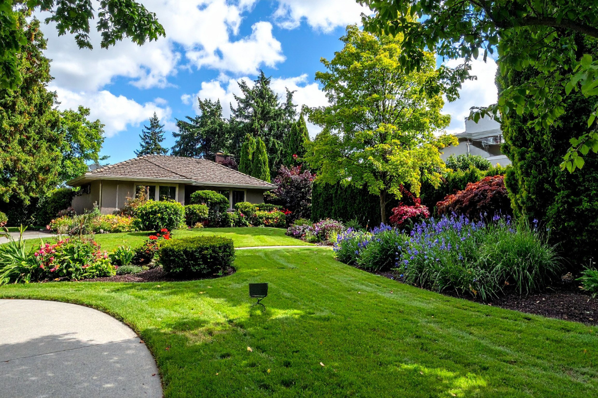 Professional landscaped front yard suburban home