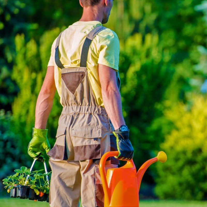 gardener-and-his-garden-job-2021-08-26-23-04-32-utc-800x931